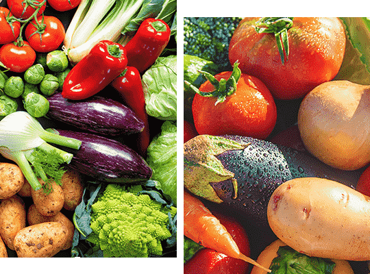 ARP Primeurs : vente fruits et légumes bio à Saint-Hilaire-de-Riez, Saint-Gilles-Croix-de-Vie & Bretignolles-sur-Mer (85)